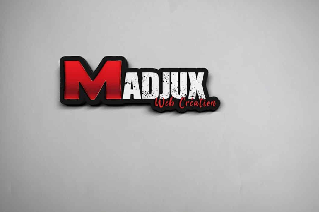 Les services Madjux en infographie 1