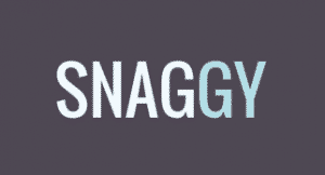 Snaggy, un outil pour partager et éditer vos captures d'écran 2